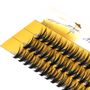 7a01af92-6bf9-448d-957b-13cd53701d2a