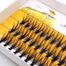 S0be67b59878942adababafa817718118w